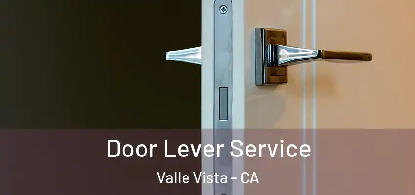 Door Lever Service Valle Vista - CA