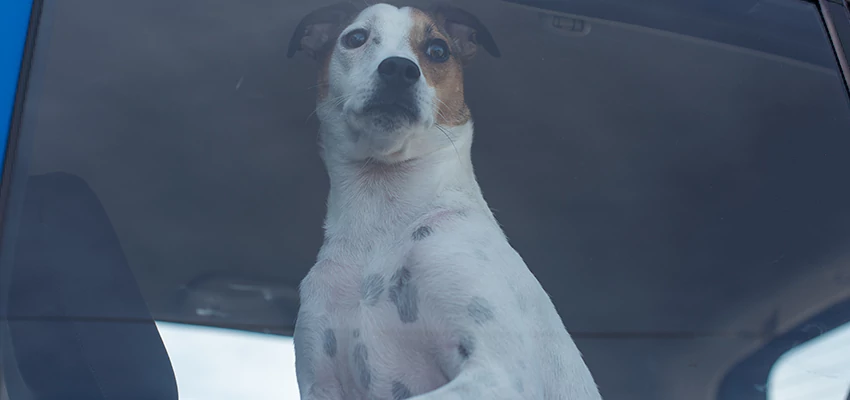 Car Lockout Solutions in Valle Vista, California