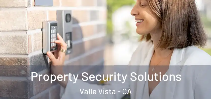  Property Security Solutions Valle Vista - CA